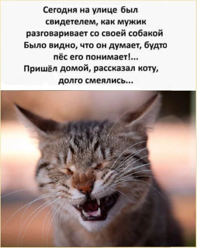 Картинки разные с надписями