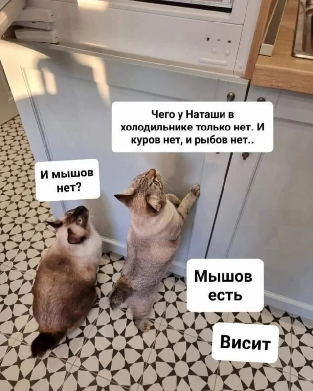 Свежие прикольные картинки