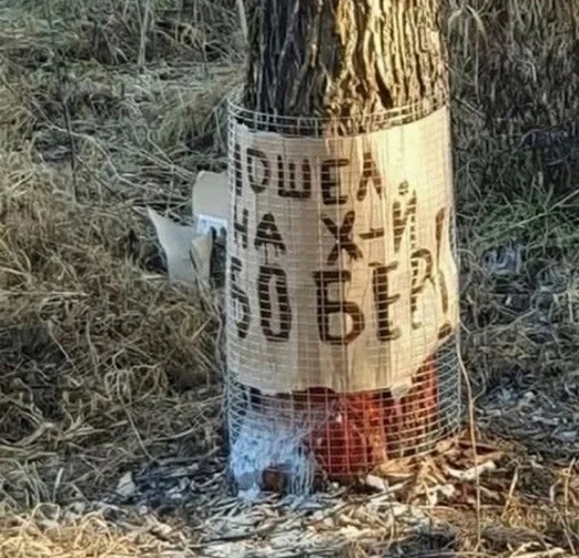 Актуальный и свежий юмор