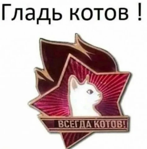 Подборка веселых картинок