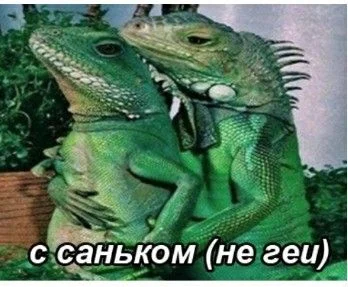 Наиболее нелепые примеры того, что называли «гейским»