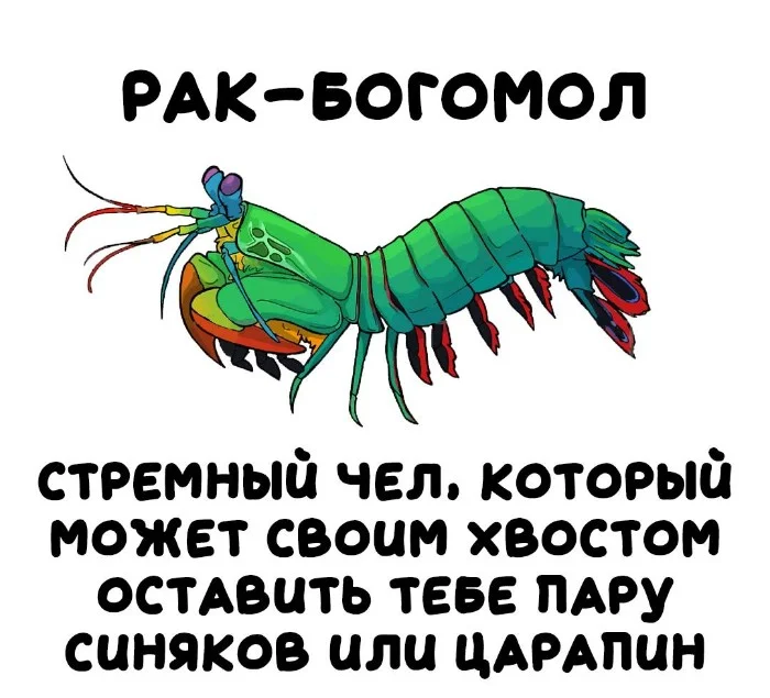 Интересная биология — удивительные факты о животных и растениях #1