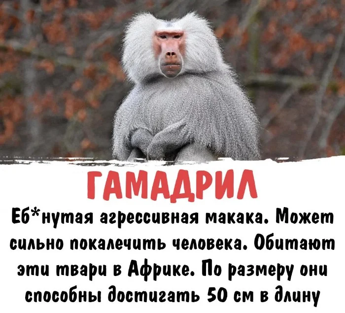 Интересная биология #10