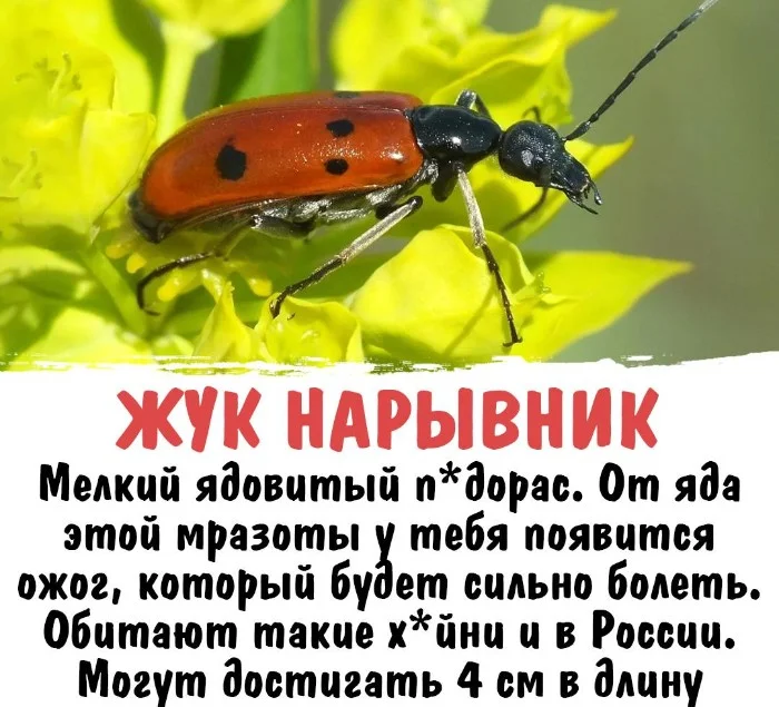 Интересная биология — удивительные факты о животных и растениях #1