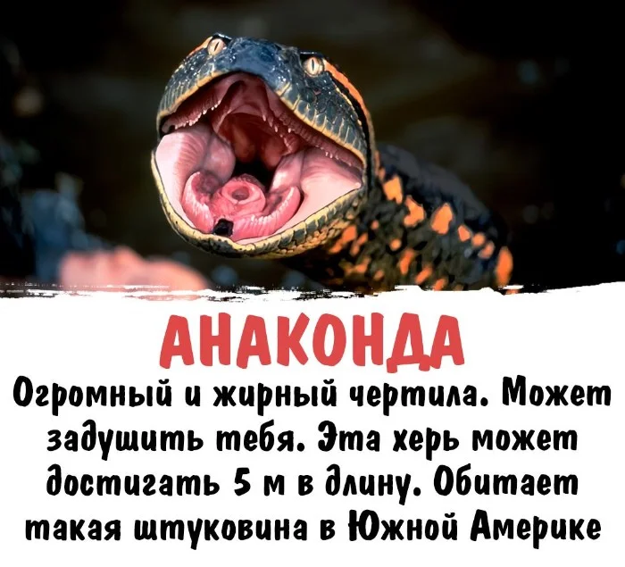 Интересная биология #12