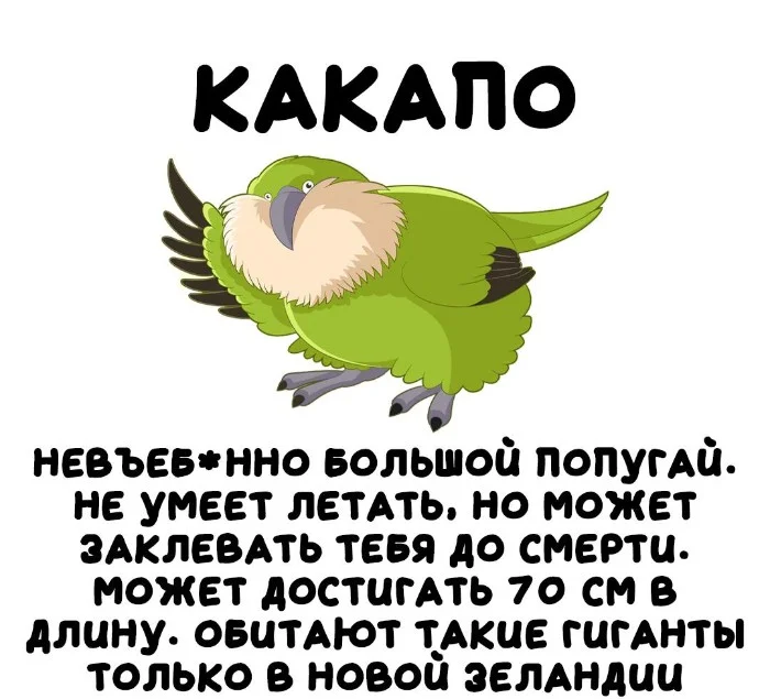 Интересная биология #14