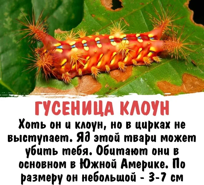 Интересная биология #2