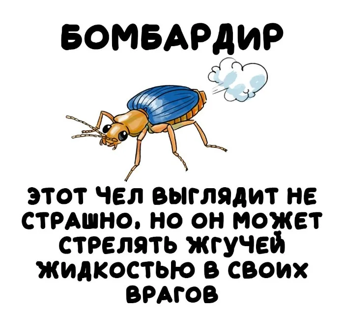 Интересная биология #3