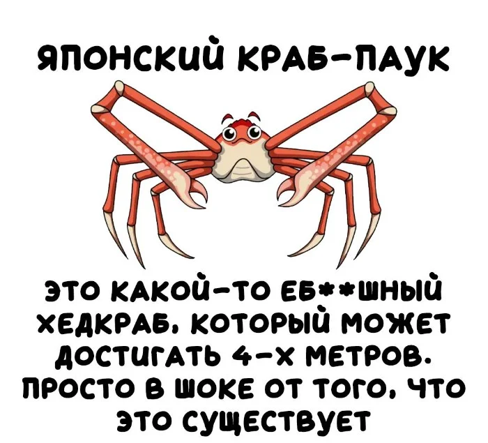 Интересная биология #4