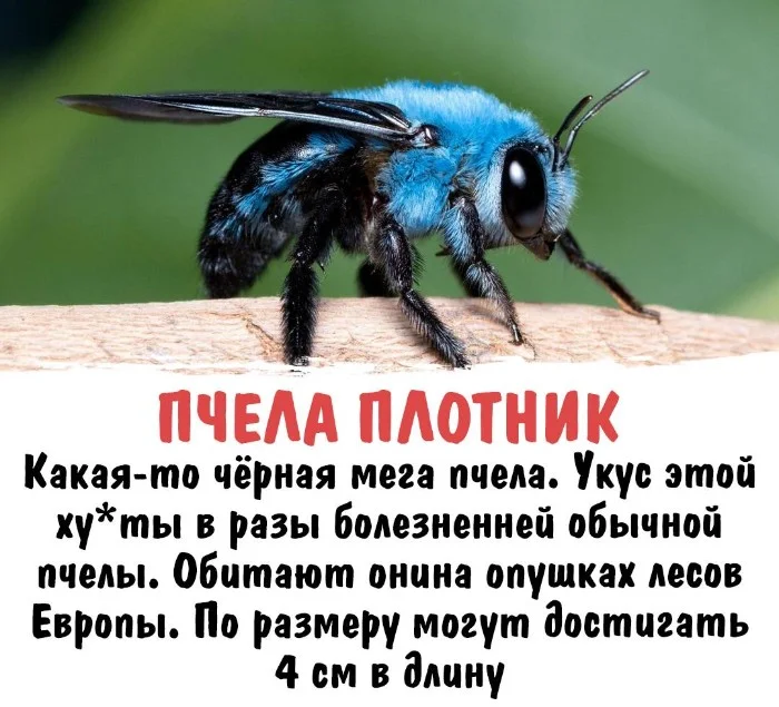 Интересная биология #6