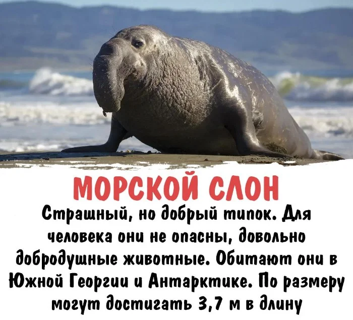 Интересная биология #6