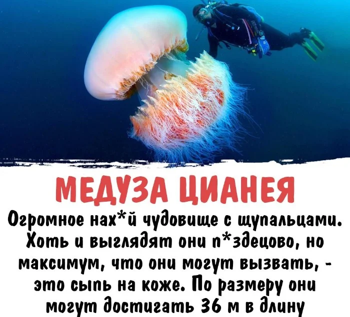 Интересная биология #9