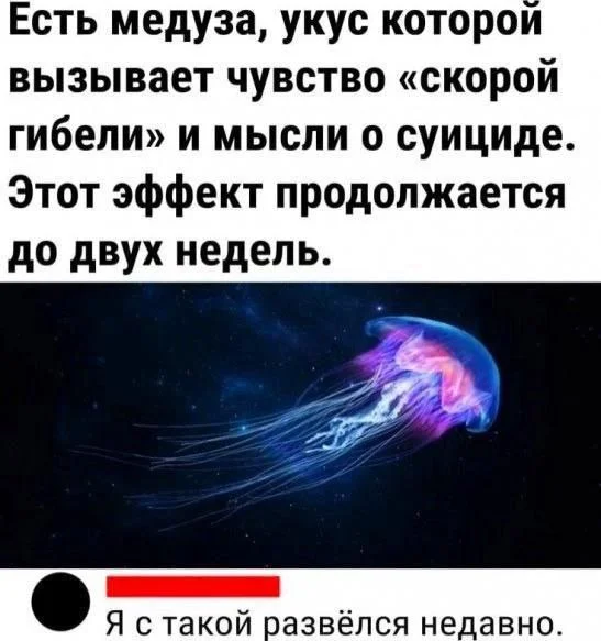 Нестандартный юмор #157