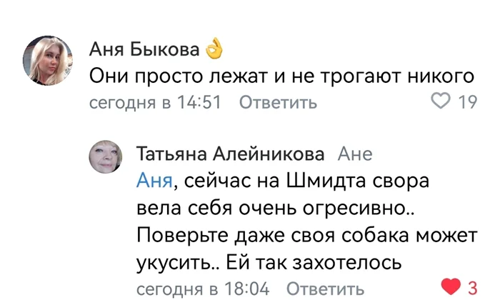 Зоошиза в Ейске: ничего нового, всё по старой схеме