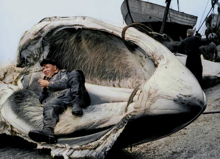 20 раскрашенных фотографий из прошлого, которые поразят ваше воображение