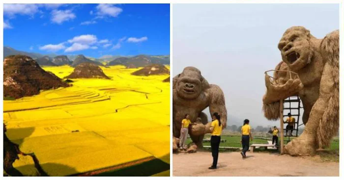 Удивительные открытия: 15 человек и их невероятные находки