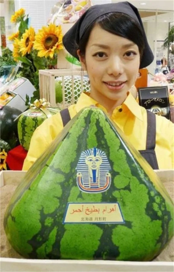 Странные вещи, которые можно увидеть только в Японии