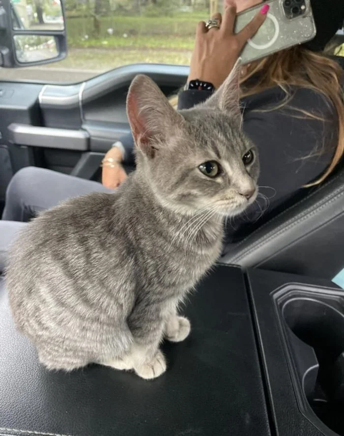 Сокровища в мусоре: 35 удивительных находок