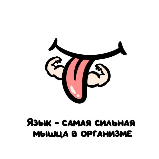 Удивительные факты, которые стоит знать каждому