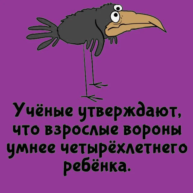 Факты на любой случай