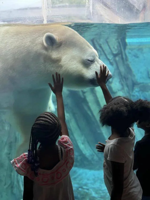 Подборка разнообразных картинок