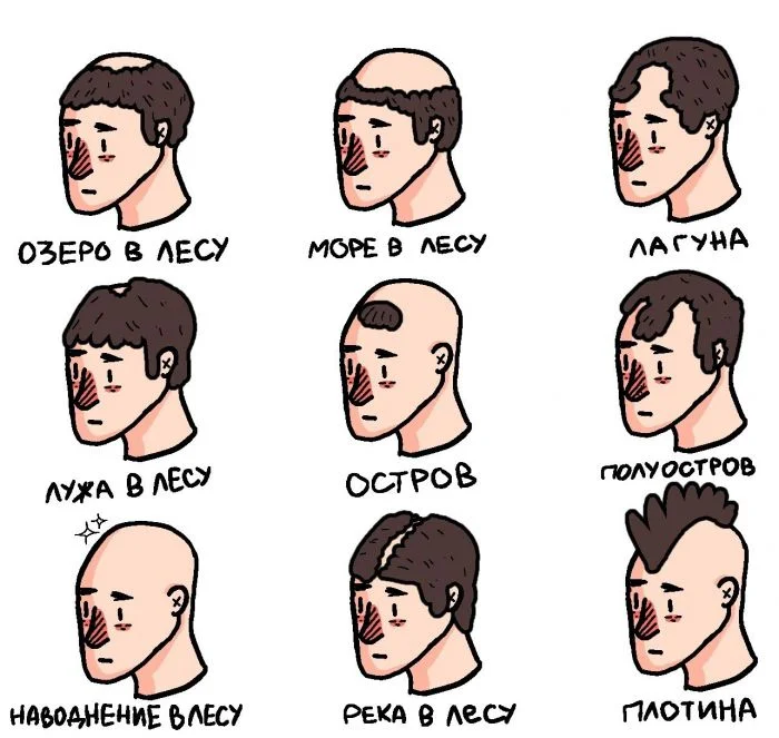 Комиксы, особым образом иллюстрирующие различия и сходства объектов