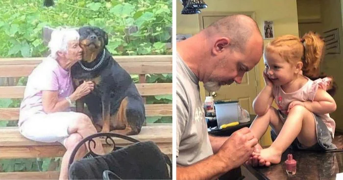 Подборка самых милых фото из интернета, где царит добро