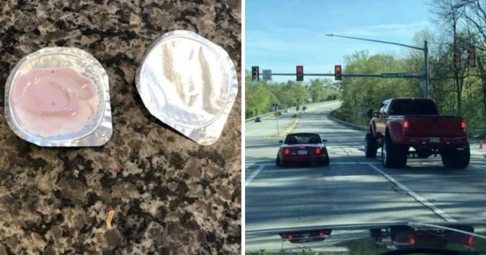 Две стороны одной медали: фото, доказывающие, что люди бывают двух типов