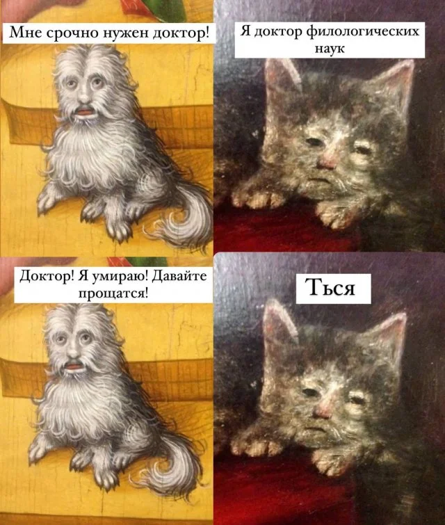 «Мне срочно нужен доктор»: лучшие мемы и шутки о неожиданных ситуациях