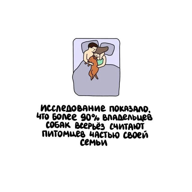 Любопытные факты