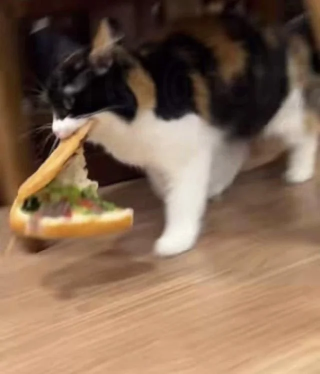 Преступление без угрызений совести