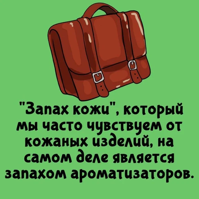 Факты на все случаи жизни