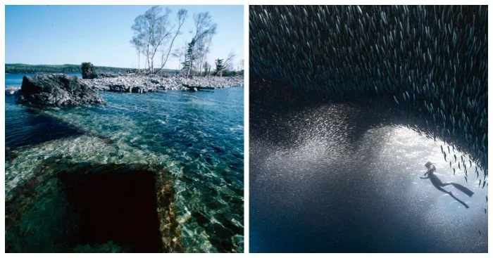 Таинственные глубины на 18 снимках, от которых стынет кровь