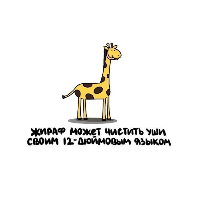 Занимательные факты