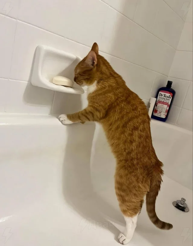 Фотосессия "Просчитался, но где?"