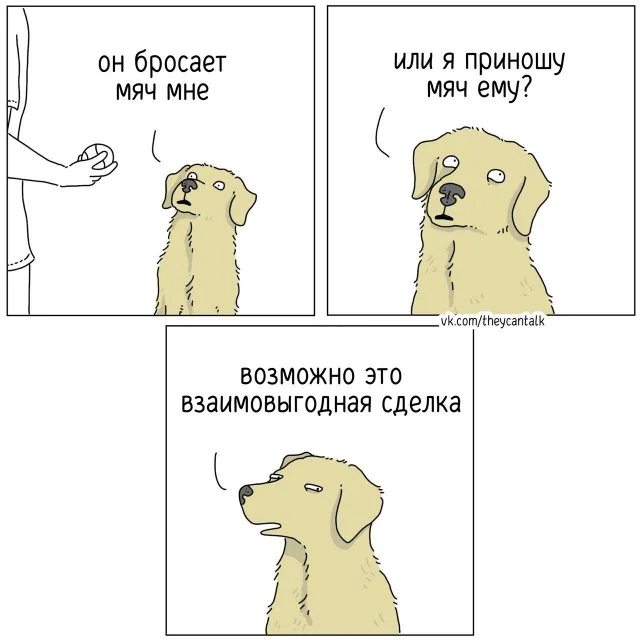 Забавный комикс «О чем говорят животные?» для отличного настроения