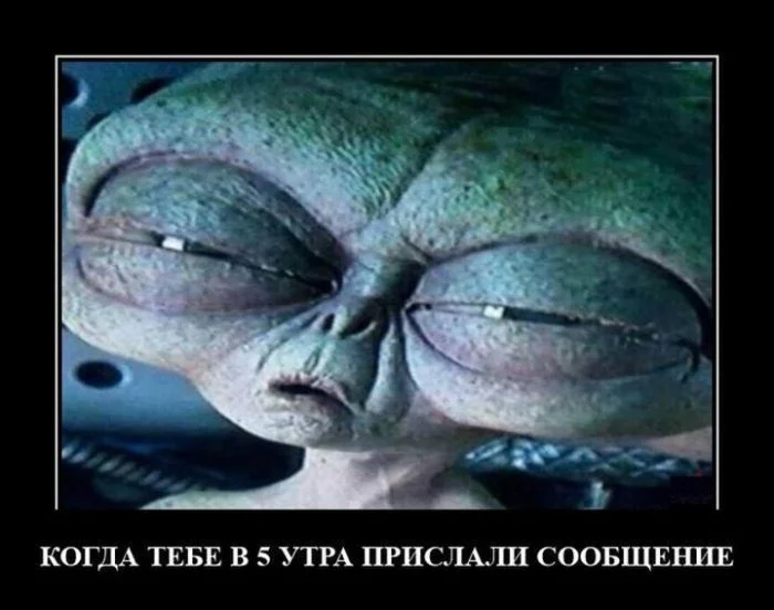 Демотиваторы на любой вкус