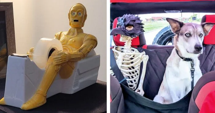 Самые бесполезные предметы в доме: чем хвастаются пользователи сети