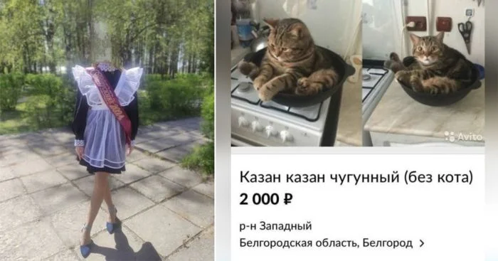 Нелогичные объявления, которые заставят вас задуматься о реальности