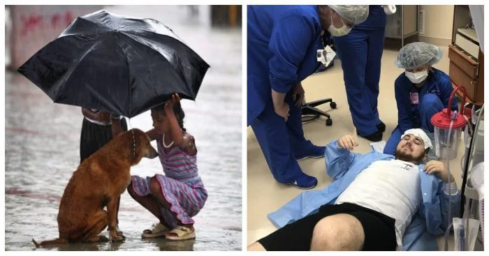 Фотографии, которые не нуждаются в словах: 15 трогательных снимков