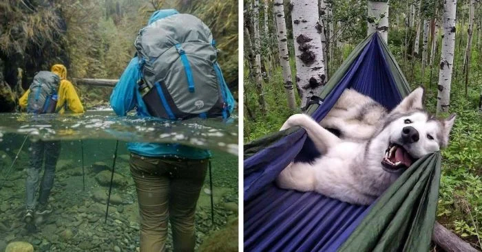 Что удалось сфотографировать в походе: 17 интересных кадров