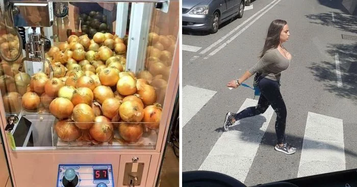 30 снимков, сделанных случайно