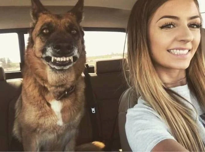 30 снимков, сделанных случайно