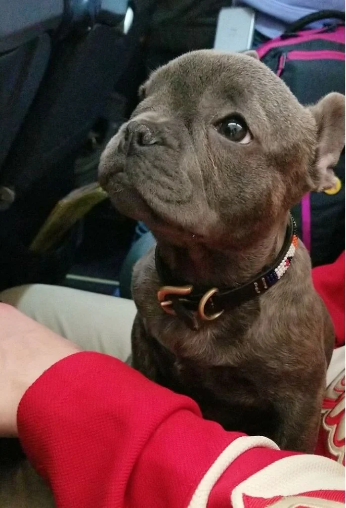 Попутчики, с которыми поездка стала ярче