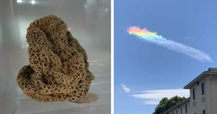 35 редких находок, сделанных обычными людьми