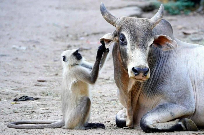 Свежее на общую тему