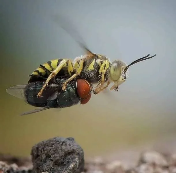 Снова намешалось