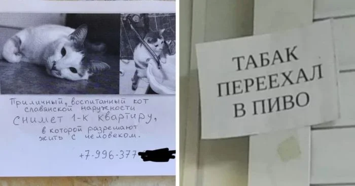 Странные и забавные: 18 объявлений, вызывающих улыбку