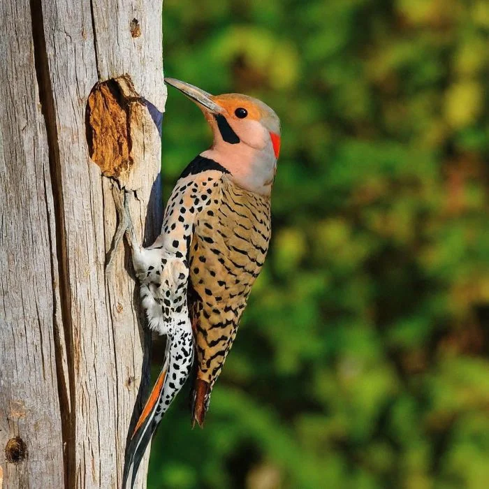 Подборка картинок на общую тему