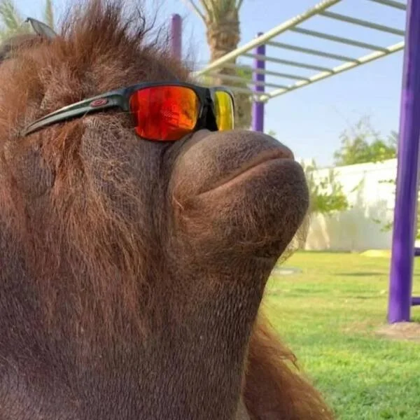 Взбалталось и намешалось